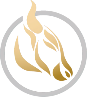 beiraboi.com